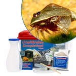 Mittleres Triops cf. longicaudatus Hawaii Komplettset (Produktbild)