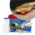 Mittleres Triops longicaudatus Komplettset (Produktbild)