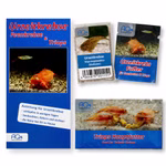 Triops longicaudatus Multicolor - Urzeitkrebse - Zuchtansatz mit Anleitung Urzeitkrebsfutter und Triops Hauptfutter (Produktbild)