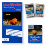 Triops longicaudatus - Naturform und rot - Amerikanische Urzeitkrebse - 2 Zuchtansätze mit Anleitung und Urzeitkrebsfutter (Produktbild)