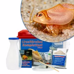Mittleres Triops longicaudatus rot Komplettset (Produktbild)