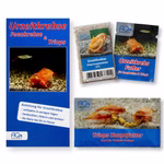Triops longicaudatus rot Starter-Set - Zuchtansatz mit Anleitung - Urzeitkrebsfutter und Triops Hauptfutter (Produktbild)