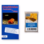 Triops-longicaudatus--Korea--Triops-Eier-mit-Anleitung-RARITaeT.jpg