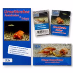 Triops longicaudatus Starter-Set - Zuchtansatz Urzeitkrebsfutter und Triops Hauptfutter (Produktbild)