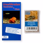 Triops longicaudatus Texas - Urzeitkrebse - Zuchtansatz mit Anleitung (Produktbild)