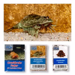Triops longicaudatus Texas - Urzeitkrebse - Zuchtansatz mit Anleitung - Urzeitkrebsfutter und Aktivboden (Produktbild)
