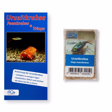 Triops mauritanicus grün Zuchtansatz mit Anleitung Triops mauritanicus grün Zuchtansatz mit Anleitung (Produktbild)