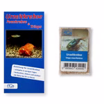 Triops mauritanicus grün Zuchtansatz mit Anleitung (Produktbild)