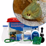 Großes Triops mauritanicus grün Komplettset mit Zubehör und Filter (Produktbild)