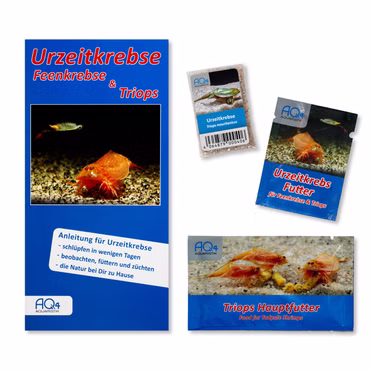 Triops mauritanicus grün Starter-Set - Zuchtansatz Urzeitkrebsfutter und Triops Hauptfutter Triops mauritanicus grün Starter-Set - Zuchtansatz Urzeitkrebsfutter und Triops Hauptfutter (Produktbild)