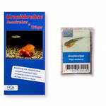 Triops newberryi - Urzeitkrebse - Zuchtansatz mit Anleitung (Produktbild)