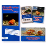 Triops sp. Gonochoric Starter-Set - Zuchtansatz mit Anleitung - Urzeitkrebsfutter und Triops Hauptfutter (Produktbild)