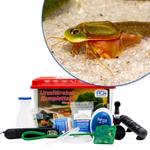 Premium Triops sp. Mongolei Komplettset mit LED-Beleuchtung - Filter und Heizung (Produktbild)