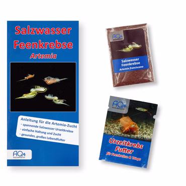 Artemia franciscana-Zucht Set (klein) für Aquarianer - mehr als 1.000.000 Eier - mit Futter und Anleitung Artemia franciscana-Zucht Set (klein) für Aquarianer - mehr als 1.000.000 Eier - mit Futter und Anleitung (Produktbild)