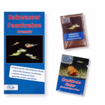 Artemia franciscana-Zucht Set (klein) für Aquarianer - mehr als 1.000.000 Eier - mit Futter und Anleitung (Produktbild)