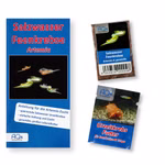 Artemia Zucht Set (klein) für Aquarianer - mehr als 1.000.000 Eier - mit Futter und Anleitung Artemia cf. persimilis (Produktbild)