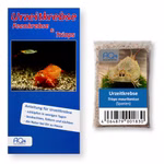 Triops mauritanicus Spanien Zuchtansatz mit Anleitung (Produktbild)