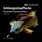 Schlangenkopffische - Wissenschaft Aquaristik und Natur - Channa - Buchtitel (Produktbild)