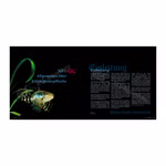 Schlangenkopffische - Wissenschaft Aquaristik und Natur - Channa - Blick ins Buch - Einleitung (Produktbild)
