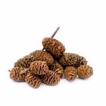 Erlenzapfen - 25g Zapfen der Schwarzerle - getrocknet (Produktbild)