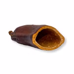 Courbaril Schote geöffnet - Größe ca. 8-10cm - Hymenaea courbaril Courbaril Schote geöffnet - Größe ca. 8-10cm - Hymenaea courbaril (Produktbild)