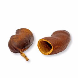 Courbaril Schote geöffnet - Größe ca. 8-10cm - Hymenaea courbaril Courbaril Schote geöffnet - Größe ca. 8-10cm - Hymenaea courbaril (Produktbild)