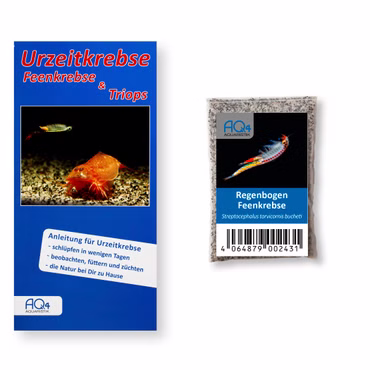 Regenbogen Feenkrebse Streptocephalus torvicornis bucheti - Zuchtansatz mit Anleitung Regenbogen Feenkrebse Streptocephalus torvicornis bucheti - Zuchtansatz und Anleitung