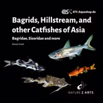 Bagrids, Hillstream and other Catfishes of Asia (Produktbild)