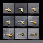 Bagrids, Hillstream and other Catfishes of Asia (Produktbild)