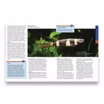 eBook : Ihr Hobby - Nano-Aquarien Beispielseiten 3 (Produktbild)