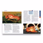 eBook : Ihr Hobby - Nano-Aquarien Beispielseiten 4 (Produktbild)