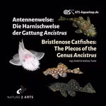 Buch: Antennenwelse: Die Harnischwelse der Gattung Ancistrus Seite (Produktfoto)