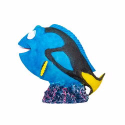 Aquarium Deko Doktorfisch Rückansicht Aquarium Deko Doktorfisch Rückansicht (Produktbild)