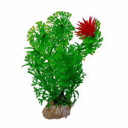 Aquarium Deko Kunststoffpflanze, feinfiedrig, Sumpffreund, Vorderansicht Aquarium Deko Kunststoffpflanze, feinfiedrig, Sumpffreund, Vorderansicht, (Produktbild)