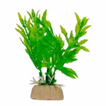 Kunststoffpflanze, gezackte Blätter, Kammblatt, Aquarium Dekoration Kunststoffpflanze, gezackte Blätter, Kammblatt, Aquarium Dekoration Vorderansicht (Produktbild)