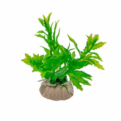 Kunststoffpflanze, gezackte Blätter, Kammblatt, Aquarium Dekoration Kunststoffpflanze, gezackte Blätter, Kammblatt, Aquarium Dekoration Draufsicht (Produktbild)