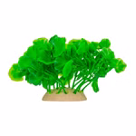Aquarium Deko Kunststoffpflanze, Wassernabel, Hydrocotyle, Plastikpflanze Rückansicht Aquarium Deko Kunststoffpflanze, Wassernabel, Hydrocotyle, Plastikpflanze Rückansicht (Produktbild)