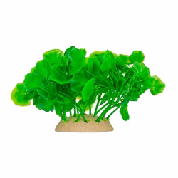 Aquarium Deko Kunststoffpflanze, Wassernabel, Hydrocotyle, Plastikpflanze Rückansicht Aquarium Deko Kunststoffpflanze, Wassernabel, Hydrocotyle, Plastikpflanze Rückansicht (Produktbild)