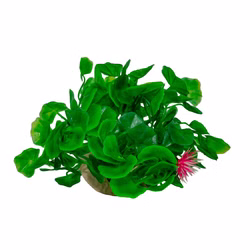 Aquarium Deko Kunststoffpflanze, Wassernabel, Hydrocotyle, Plastikpflanze Vorderansicht Aquarium Deko Kunststoffpflanze, Wassernabel, Hydrocotyle, Plastikpflanze Vorderansicht (Produktbild)