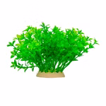 Aquarium Deko Kunststoffpflanze, Fettblatt, Bacopa Plastikpflanze Vorderansicht Aquarium Deko Kunststoffpflanze, Fettblatt, Bacopa Plastikpflanze Vorderansicht (Produktbild)