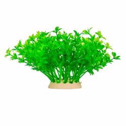 Aquarium Deko Kunststoffpflanze, Fettblatt, Bacopa Plastikpflanze Rückansicht Aquarium Deko Kunststoffpflanze, Fettblatt, Bacopa Plastikpflanze Rückansicht (Produktbild)