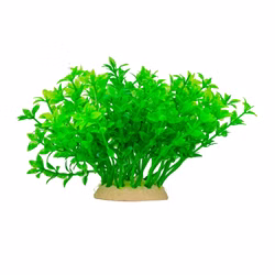 Aquarium Deko Kunststoffpflanze, Fettblatt, Bacopa Plastikpflanze Vorderansicht Aquarium Deko Kunststoffpflanze, Fettblatt, Bacopa Plastikpflanze Vorderansicht (Produktbild)
