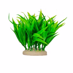 Aquarium Deko Kunststoffpflanze, Wasserkelch, Cryptocoryne, Plastikpflanze Vorderansicht Aquarium Deko Kunststoffpflanze, Wasserkelch, Cryptocoryne, Plastikpflanze Vorderansicht (Produktbild)