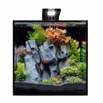 Nano Aquarium Black Cube Komplett-Set 20l Einrichtungsbeispiel Nano Aquarium Black Cube Komplett-Set 20l , Einrichtungsbeispiel (Produktbild)