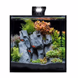Nano Aquarium Black Cube Komplett-Set 20l Einrichtungsbeispiel Nano Aquarium Black Cube Komplett-Set 20l , Einrichtungsbeispiel (Produktbild)