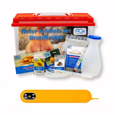 Triops Natur-Erlebnis-Set Urzeitkrebse - Komplettset mit LED, Zubehör und ca. 100 Urzeitkrebseiern Triops Natur-Erlebnis-Set Urzeitkrebse - Komplettset mit LED, Zubehör und ca. 100 Urzeitkrebseiern (Produktbild)