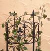 1250-Serra-S-11-Blume.jpg