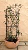 1250-Serra-S-8-Blume.jpg