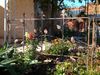 IMG-5772.JPG