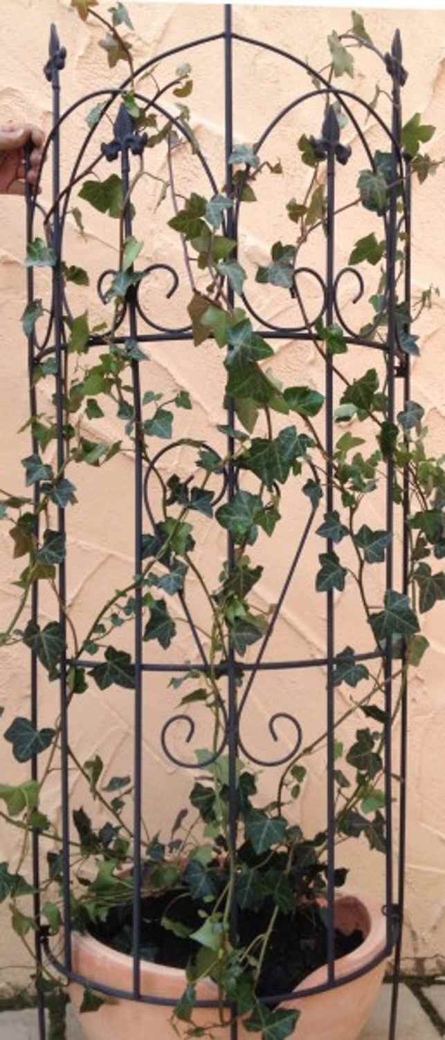 Rankgitter Spalier Rankhilfe halbrund Lucca-XL f. Clematis schwarz 187cm Rankgitter Spalier Rankhilfe halbrund Lucca-XL f. Clematis schwarz 187cm